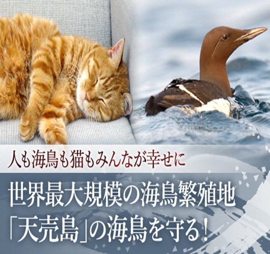 羽幌クラウドファンディグ画像