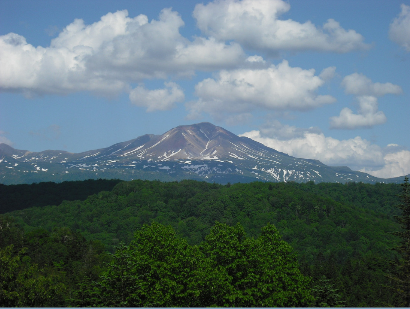 北釧まいわしのフライとキタアカリのいももち(釧路総合振興局)