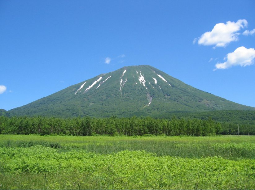 きたあかりと三恵豚粗挽きウインナーのグラタン(釧路総合振興局)