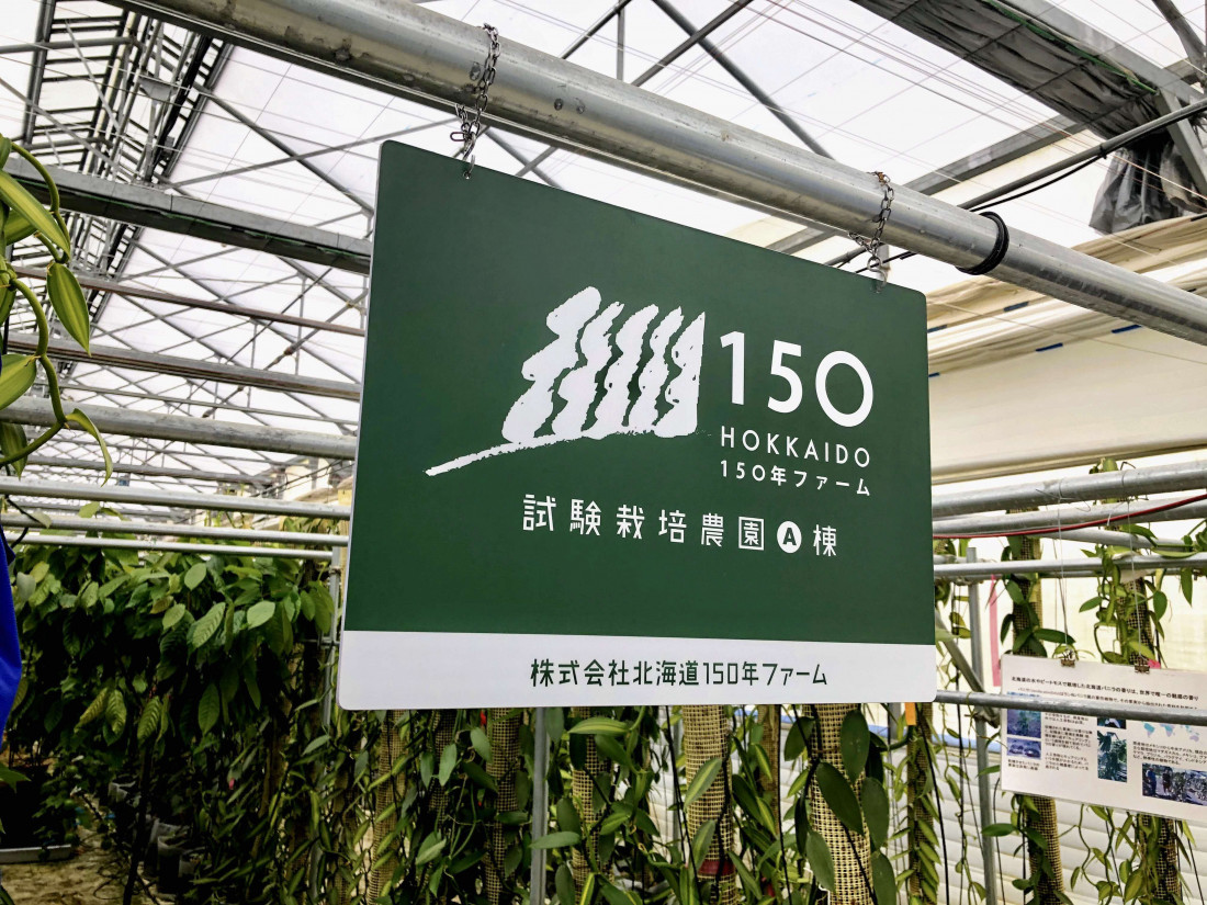 aioi1